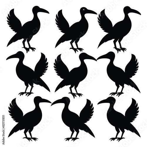 Set of Hornbill animal black Silhouette Vector on a white background