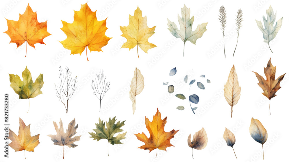 Collection of autumn-themed watercolor Collection of autumn-themed watercolor