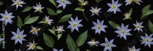starflower flowers and leaves on plain black background from Generative AI