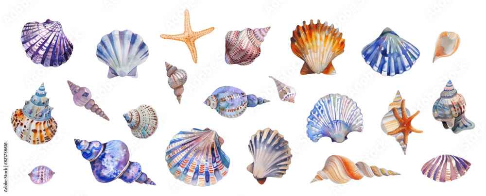 Set of watercolor seashells on isolated background. Various sea shells png. Watercolor elements of the sea beach. Vector illustration Set of watercolor seashells on isolated background. Various sea shells png. Watercolor elements of the sea beach. Vector illustration