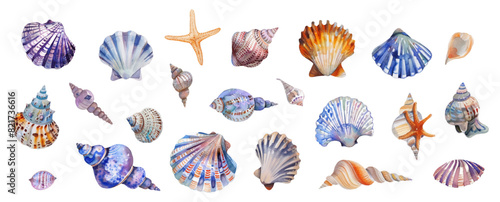 Set of watercolor seashells on isolated background. Various sea shells png. Watercolor elements of the sea beach. Vector illustration