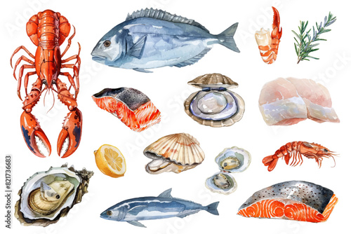 Watercolor set of seafood from lobster, shrimp, fish, salmon, oyster, clam, and white fish on transparent background. Set of seafood elements for menu or design. Vector illustration.