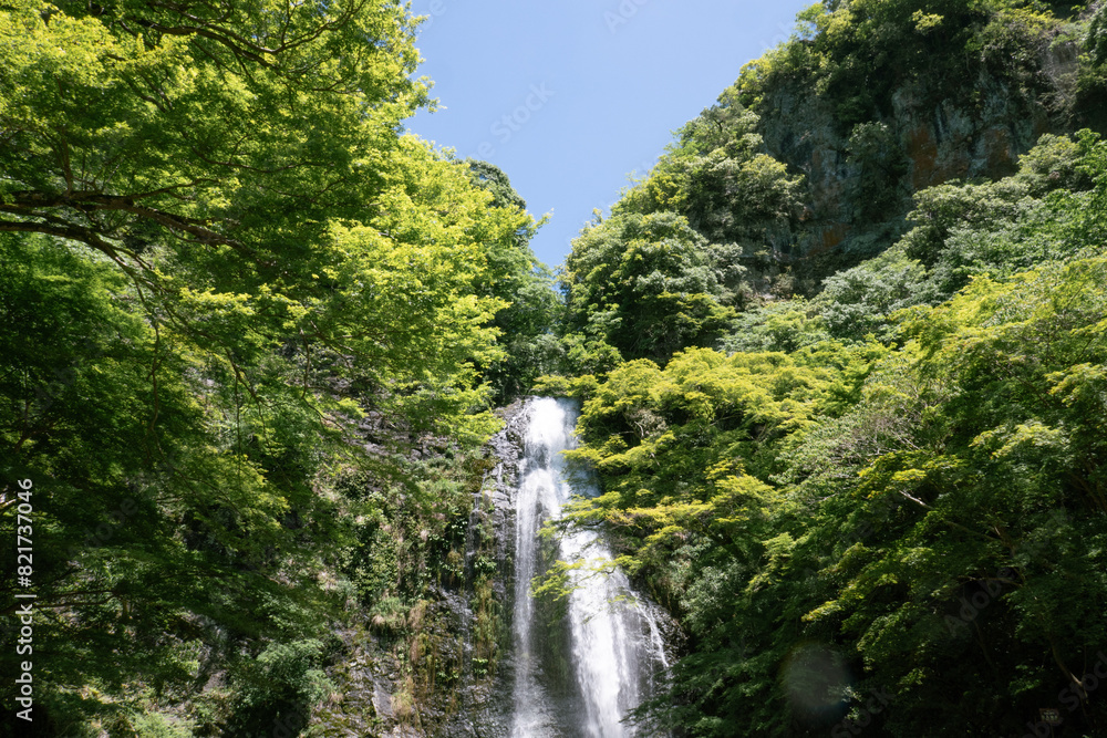 箕面の滝 箕面の滝