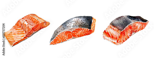 Set of watercolor pieces of salmon png. Pieces of red paint in a watercolor style on an isolated background. Vector illustration.
