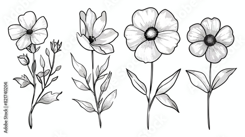 Four of flowers hand drawn black line art. Floral ske #821740204