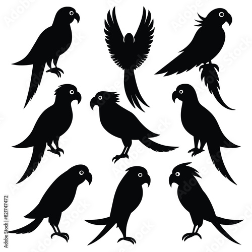 Set of Macaw animal black Silhouette Vector on a white background