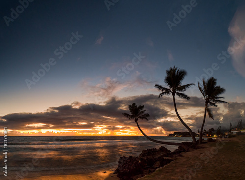 Hawaiian Oahu colorful Sunset Beach with Palm trees in a silhouette condition photo