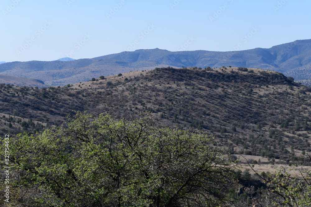 Fototapeta premium landscape with blue sky
