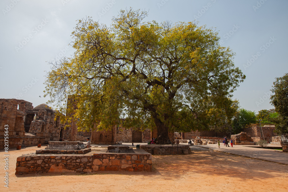 Ancient Indian sites during the day There are big trees and tourists Ancient Indian sites during the day There are big trees and tourists