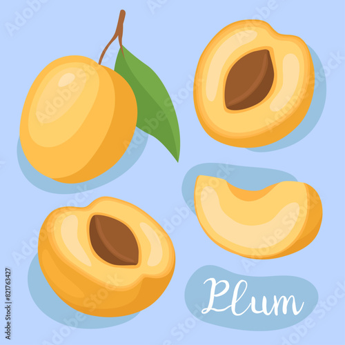 Yellow plum. Half, slice and whole. Fresh, ripe, orange fruit. Ingredient for cooking. Vector illustration.	
