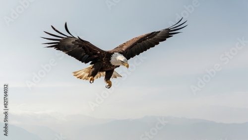 Wallpaper Mural Eagle fly in snow Mountain Sit on Branch Torontodigital.ca