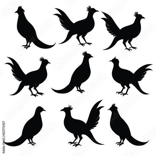 Set of Pheasant animal black Silhouette Vector on a white background