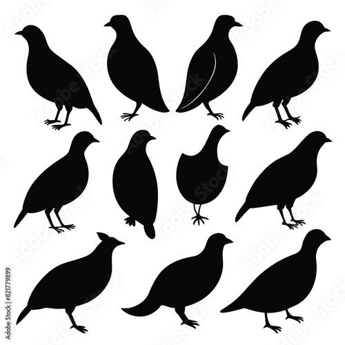 Set of Quail animal black Silhouette Vector on a white background