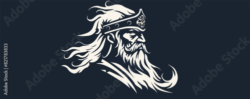 Viking logo vector