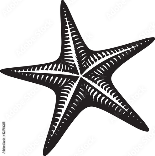 Star fish Silhouette - Spiny Starfish Vector - Fromia monilis star fish - Zanzibar Star fish image 
