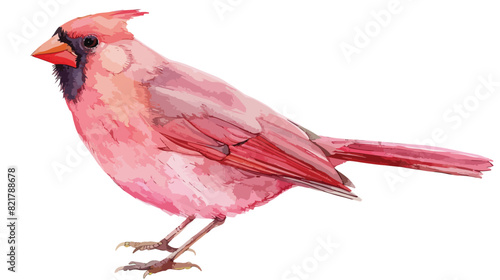 Bird. Watercolor hand drawn illustration. Isolated on white background