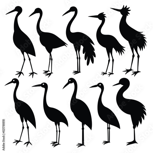 Set of Stork black Silhouette Vector on a white background photo