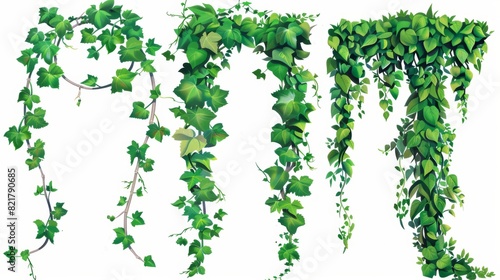 A climbing vine with green leaves is set against ivy corners