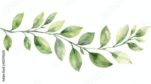 Branch with leaves. Hand painting floral illustration photo