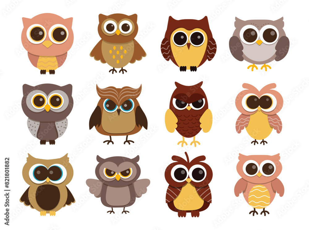 Fototapeta premium Owl Illustration Set