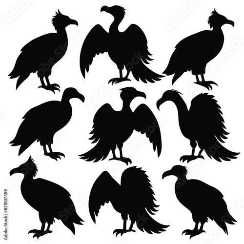 Set of Vulture animal black Silhouette Vector on a white background