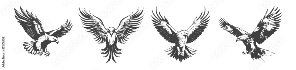 Fototapeta premium set of eagle silhouettes, black and white vector design,