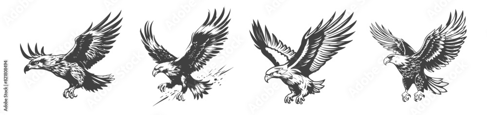 Obraz premium set of eagle silhouettes, black and white vector design