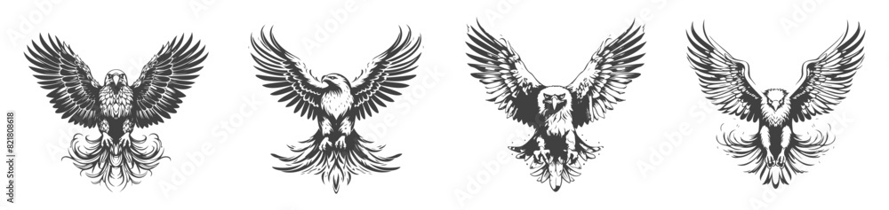 Obraz premium set of eagle silhouettes, black and white vector design,