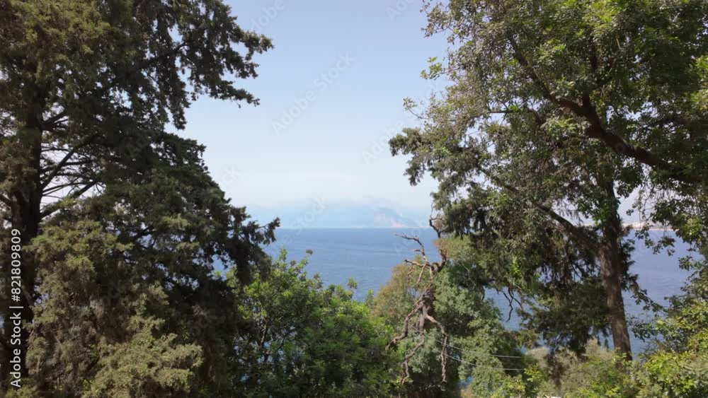Beautiful trees with a sea view in the background Beautiful trees with a sea view in the background