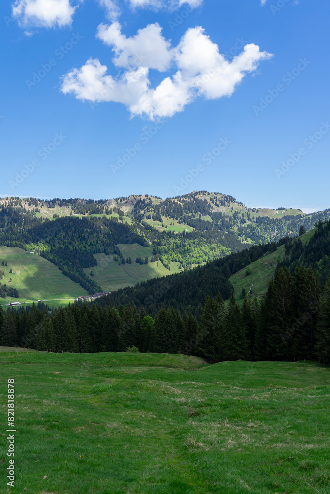view over Balderschwanger Tal towards Riederberger Horn  over an alpine landscape with meadows and trees high up in the mountains with sky and clouds