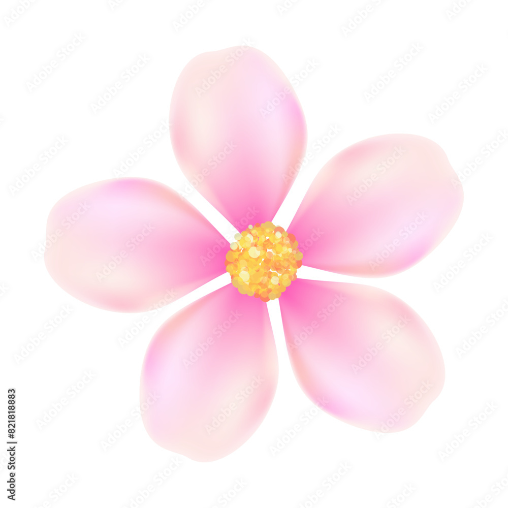 Fototapeta premium Realistic cherry blossom illustration on white background