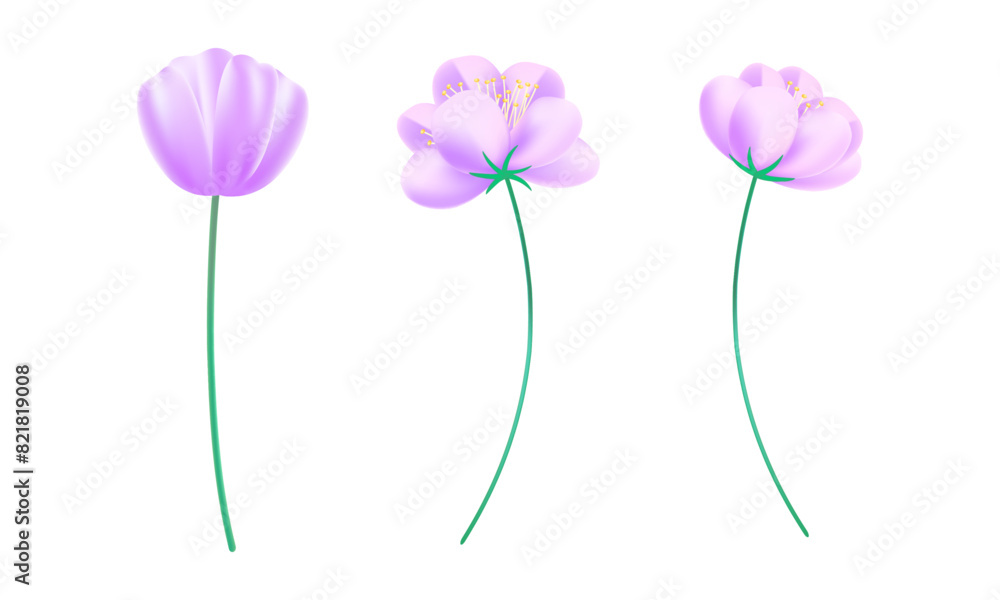 Naklejka premium Realistic cherry blossoms on white background