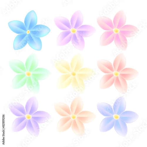 7 Realistic cherry blossoms on white background