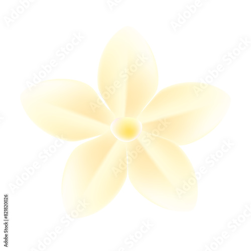 Realistic cherry blossom illustration on white background