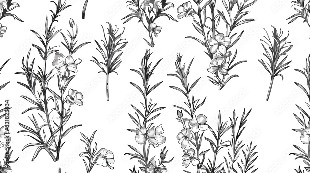 Natural seamless pattern with outline rosemary plants