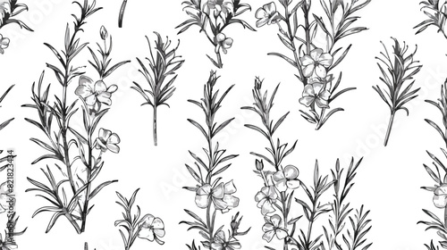 Natural seamless pattern with outline rosemary plants