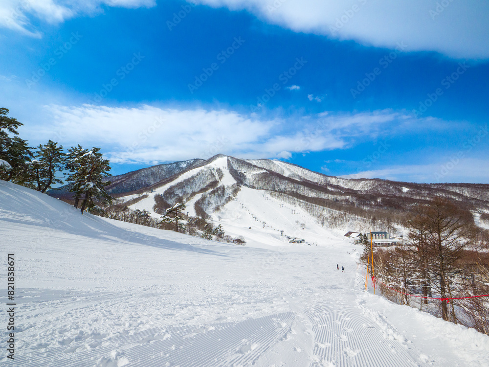 Fototapeta premium Snow slopes on a sunny day (Madarao Kogen, Nagano, Japan)
