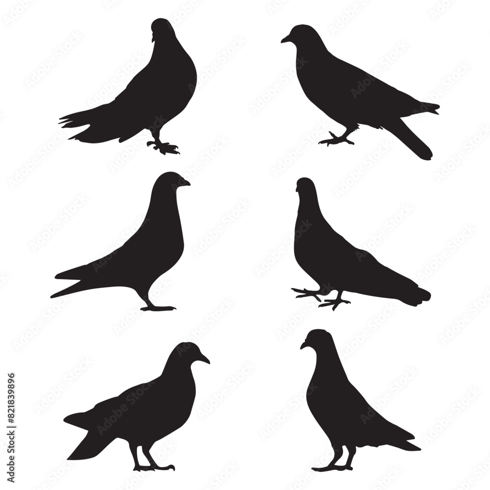 Fototapeta premium Pigeon Silhouette Art Vector Illustration Bundle