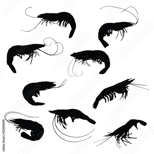 Shrimp Silhouette Vector Illustration Set