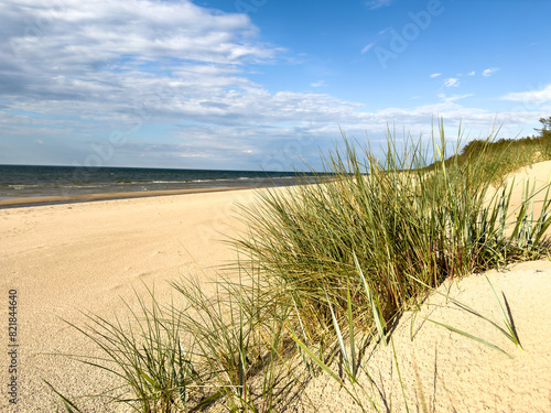 sand dunes and grass on the beach,on the Polish Baltic Sea coast