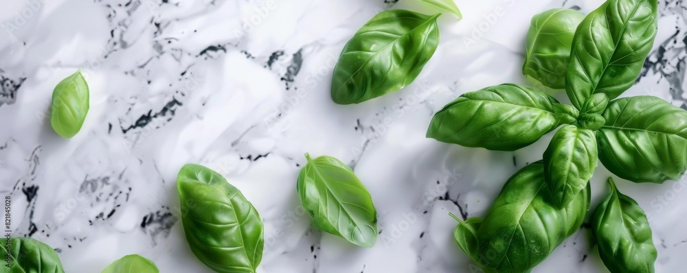 Obraz premium Fresh basil leaves scattered on white marble background. Top view. Copy space.