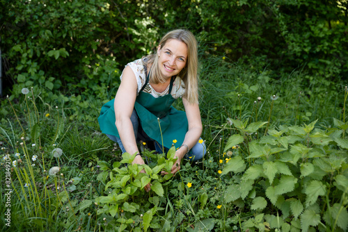 pretty, attractive woman in her early 40s, collects wild herbs in the garden, meadow, forest for a salad, for cooking, eating, for smoothies