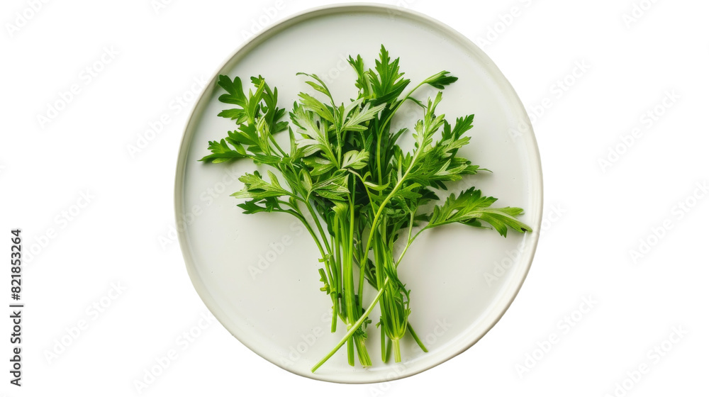 Verdant Symphony: Lush Green Herbs Adorning a White Plate Verdant Symphony: Lush Green Herbs Adorning a White Plate