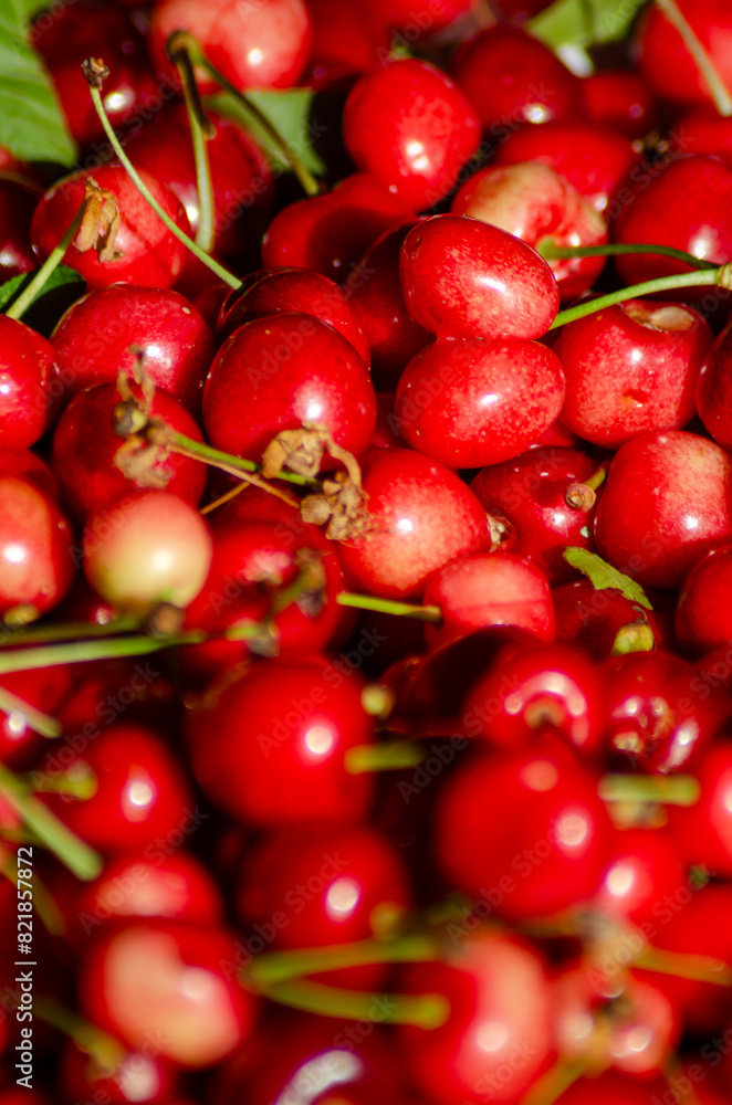 selective focus, background of ripe red cherries, spring fruit selective focus, background of ripe red cherries, spring fruit