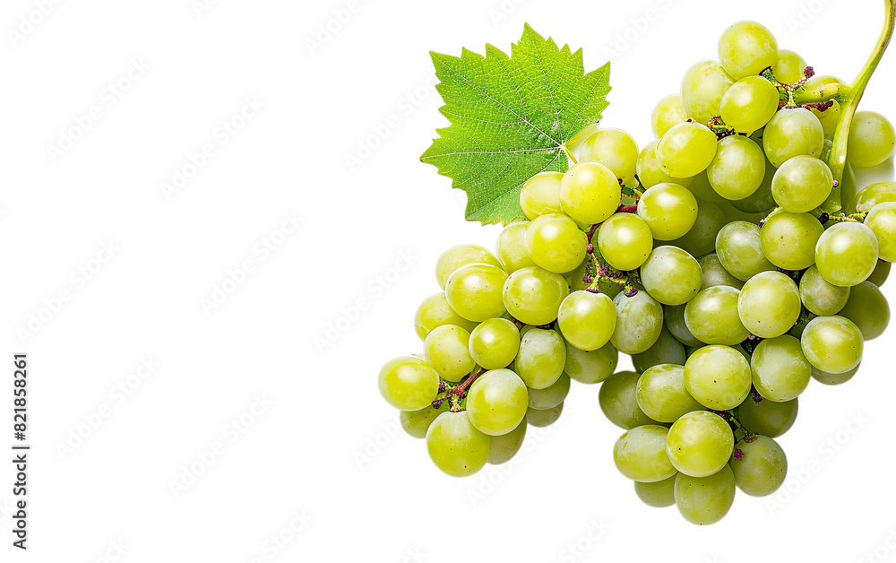 Photorealistic green grapes with a leaf isolated on transparent background. Organic tropical fruit design element PNG cutout collection. Garden Lifestyle. Fresh food, cooking, diet concept. Side view Photorealistic green grapes with a leaf isolated on transparent background. Organic tropical fruit design element PNG cutout collection. Garden Lifestyle. Fresh food, cooking, diet concept. Side view
