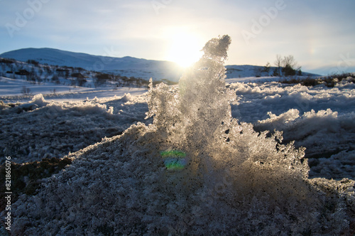 Ice crystals in a snow-covered landscape in the high mountains of Norway. photo