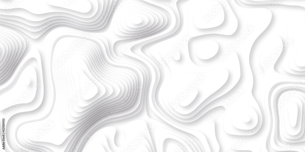 Abstract white paper cut background with lines. Background of the topographic map. White wave paper curved reliefs abstract background. Realistic papercut decoration textured with wavy layers. Abstract white paper cut background with lines. Background of the topographic map. White wave paper curved reliefs abstract background. Realistic papercut decoration textured with wavy layers.