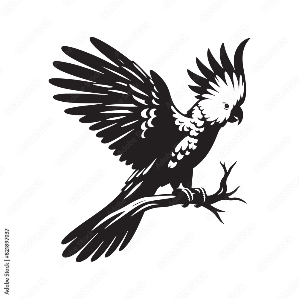 Obraz premium Cockatoo Silhouette: Bold Black Vector Art Capturing the Majestic Beauty and Charisma of These Iconic Parrots- Cockatoo Parrot Vector- Cockatoo Parrot Illustration.