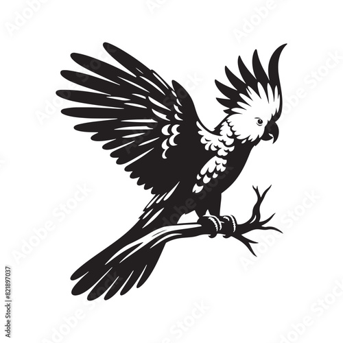 Cockatoo Silhouette: Bold Black Vector Art Capturing the Majestic Beauty and Charisma of These Iconic Parrots- Cockatoo Parrot Vector- Cockatoo Parrot Illustration.