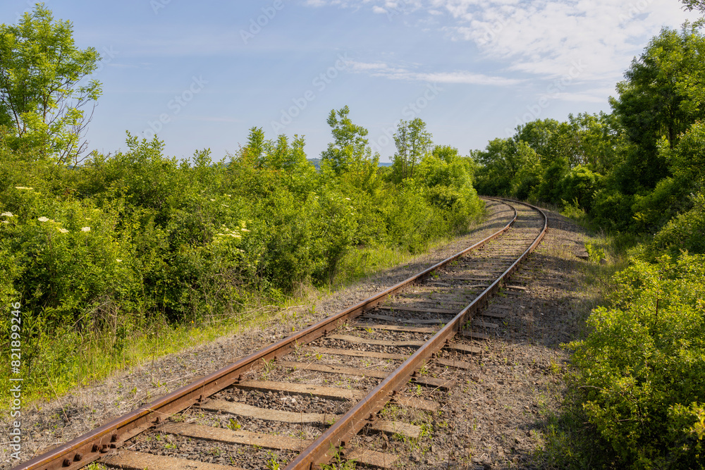 Fototapeta premium Railway tracks in a rural scene